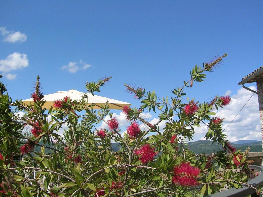 B&B La Terrazza Del Subasio Assisi Room photo